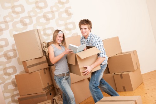 Organized boxes for apartment and office relocation